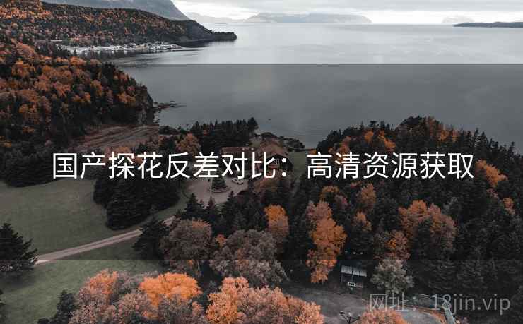 国产探花反差对比：高清资源获取