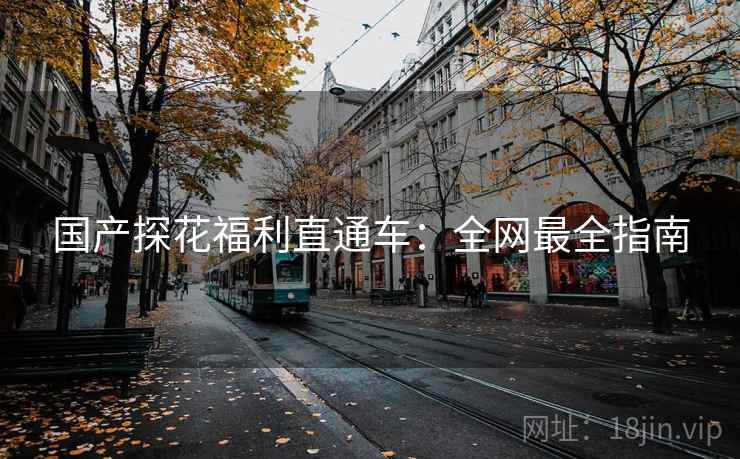 国产探花福利直通车：全网最全指南